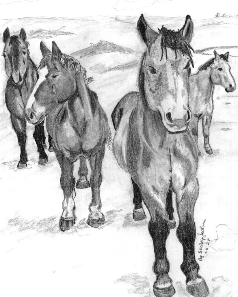 4 Horses Original